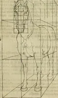 An illustration from La prima-[quinta] parte della luce del dipingere et disegnare, ... (1643)