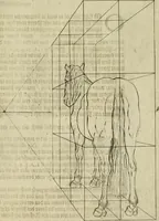 Picture 205 of 311 from La prima-[quinta] parte della luce del dipingere et disegnare, ... (1643), leaf 312