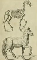 An illustration from La prima-[quinta] parte della luce del dipingere et disegnare, ... (1643)