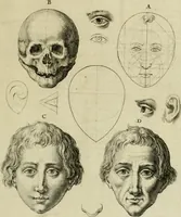 An illustration from La prima-[quinta] parte della luce del dipingere et disegnare, ... (1643)