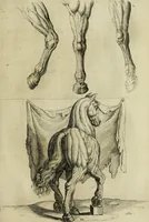 Picture 210 of 311 from La prima-[quinta] parte della luce del dipingere et disegnare, ... (1643), leaf 320