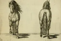 An illustration from La prima-[quinta] parte della luce del dipingere et disegnare, ... (1643)