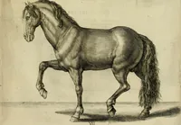 An illustration from La prima-[quinta] parte della luce del dipingere et disegnare, ... (1643)