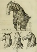 An illustration from La prima-[quinta] parte della luce del dipingere et disegnare, ... (1643)