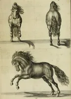 An illustration from La prima-[quinta] parte della luce del dipingere et disegnare, ... (1643)