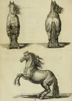 Picture 215 of 311 from La prima-[quinta] parte della luce del dipingere et disegnare, ... (1643), leaf 328