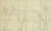 An illustration from La prima-[quinta] parte della luce del dipingere et disegnare, ... (1643)