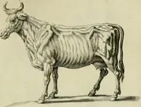 An illustration from La prima-[quinta] parte della luce del dipingere et disegnare, ... (1643)