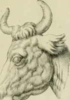 An illustration from La prima-[quinta] parte della luce del dipingere et disegnare, ... (1643)