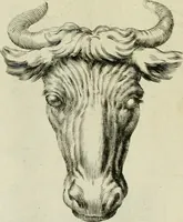 An illustration from La prima-[quinta] parte della luce del dipingere et disegnare, ... (1643)