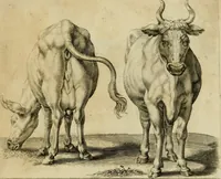 An illustration from La prima-[quinta] parte della luce del dipingere et disegnare, ... (1643)