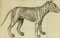 An illustration from La prima-[quinta] parte della luce del dipingere et disegnare, ... (1643)