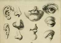 An illustration from La prima-[quinta] parte della luce del dipingere et disegnare, ... (1643)