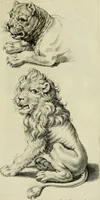 An illustration from La prima-[quinta] parte della luce del dipingere et disegnare, ... (1643)