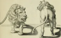 An illustration from La prima-[quinta] parte della luce del dipingere et disegnare, ... (1643)