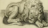 An illustration from La prima-[quinta] parte della luce del dipingere et disegnare, ... (1643)