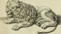 An illustration from La prima-[quinta] parte della luce del dipingere et disegnare, ... (1643)
