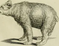 An illustration from La prima-[quinta] parte della luce del dipingere et disegnare, ... (1643)