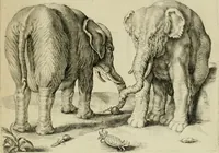An illustration from La prima-[quinta] parte della luce del dipingere et disegnare, ... (1643)