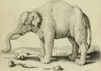 An illustration from La prima-[quinta] parte della luce del dipingere et disegnare, ... (1643)