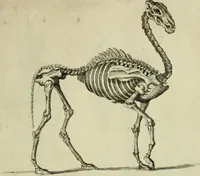 An illustration from La prima-[quinta] parte della luce del dipingere et disegnare, ... (1643)