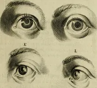 An illustration from La prima-[quinta] parte della luce del dipingere et disegnare, ... (1643)