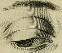 An illustration from La prima-[quinta] parte della luce del dipingere et disegnare, ... (1643)