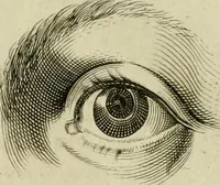 An illustration from La prima-[quinta] parte della luce del dipingere et disegnare, ... (1643)