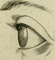 An illustration from La prima-[quinta] parte della luce del dipingere et disegnare, ... (1643)