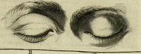An illustration from La prima-[quinta] parte della luce del dipingere et disegnare, ... (1643)