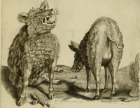 An illustration from La prima-[quinta] parte della luce del dipingere et disegnare, ... (1643)