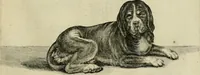 An illustration from La prima-[quinta] parte della luce del dipingere et disegnare, ... (1643)