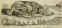 An illustration from La prima-[quinta] parte della luce del dipingere et disegnare, ... (1643)