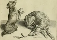 An illustration from La prima-[quinta] parte della luce del dipingere et disegnare, ... (1643)