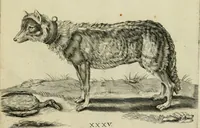 An illustration from La prima-[quinta] parte della luce del dipingere et disegnare, ... (1643)