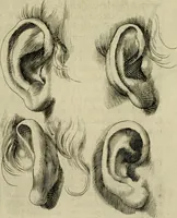 Picture 38 of 311 from La prima-[quinta] parte della luce del dipingere et disegnare, ... (1643), leaf 38