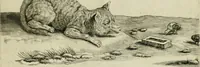 An illustration from La prima-[quinta] parte della luce del dipingere et disegnare, ... (1643)