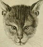 An illustration from La prima-[quinta] parte della luce del dipingere et disegnare, ... (1643)