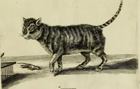 An illustration from La prima-[quinta] parte della luce del dipingere et disegnare, ... (1643)