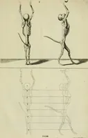 An illustration from La prima-[quinta] parte della luce del dipingere et disegnare, ... (1643)