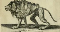 An illustration from La prima-[quinta] parte della luce del dipingere et disegnare, ... (1643)