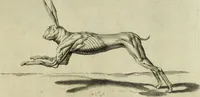 Picture 266 of 311 from La prima-[quinta] parte della luce del dipingere et disegnare, ... (1643), leaf 390