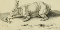 An illustration from La prima-[quinta] parte della luce del dipingere et disegnare, ... (1643)