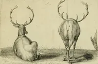 An illustration from La prima-[quinta] parte della luce del dipingere et disegnare, ... (1643)