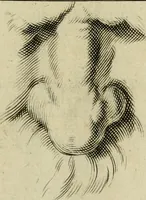 An illustration from La prima-[quinta] parte della luce del dipingere et disegnare, ... (1643)