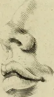 An illustration from La prima-[quinta] parte della luce del dipingere et disegnare, ... (1643)