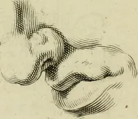 An illustration from La prima-[quinta] parte della luce del dipingere et disegnare, ... (1643)