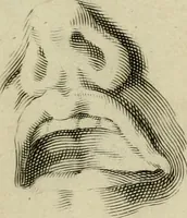 An illustration from La prima-[quinta] parte della luce del dipingere et disegnare, ... (1643)
