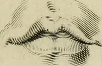 An illustration from La prima-[quinta] parte della luce del dipingere et disegnare, ... (1643)
