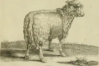 An illustration from La prima-[quinta] parte della luce del dipingere et disegnare, ... (1643)